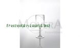 Wei�weinglas 2er Set, klar, 25 cl, polycarbonat