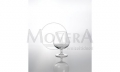 Cognacglas, 2er Set polycarbo klar, 5 cl