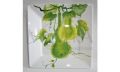 Quadrato promo K�rbis/curcubit E�teller Fb. beige